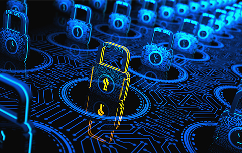 Beyaz Şapkalı Hacker